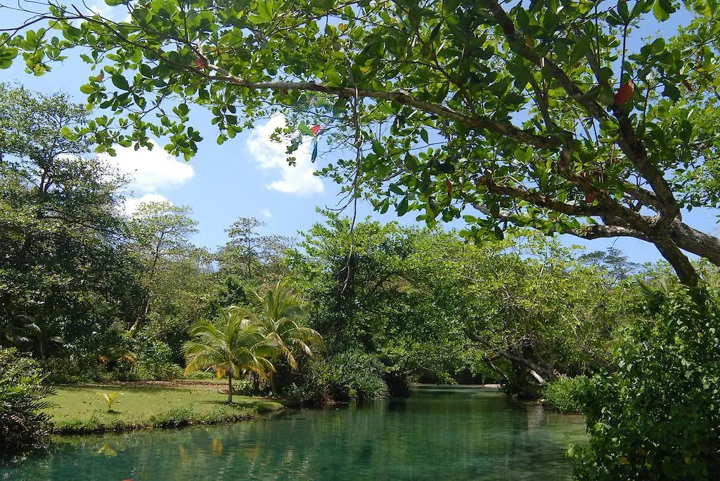 Bonne Amie Villa Drapers Jamaika